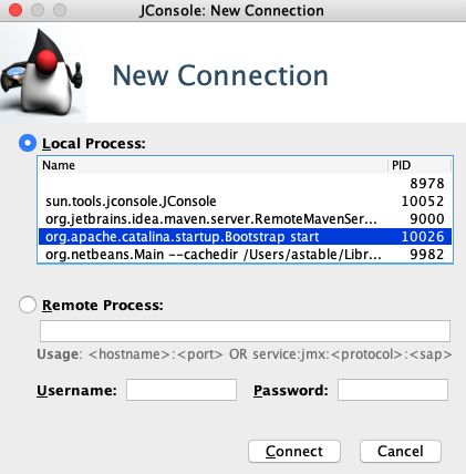 jconsole-connection.png